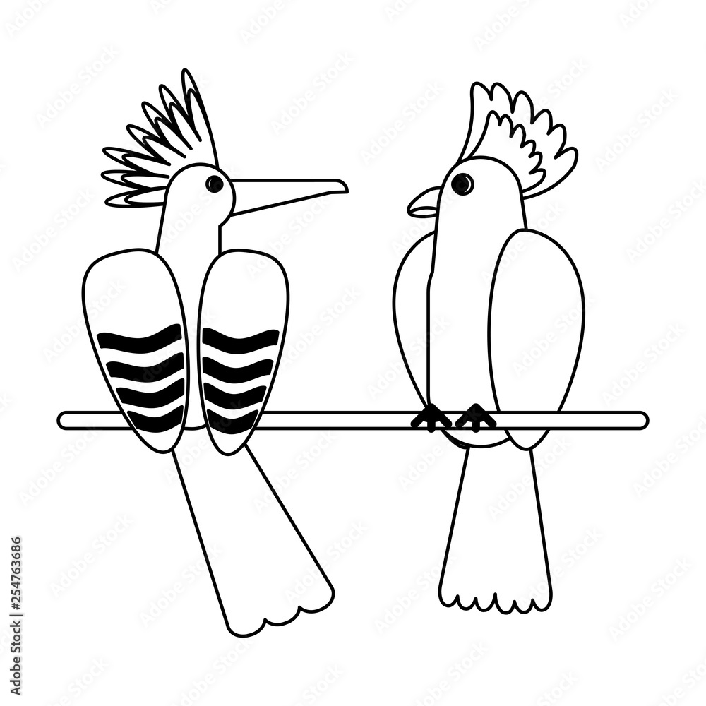 Poster exotic birds cartoons in black and white