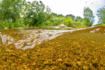 Underwater freshwater landscape