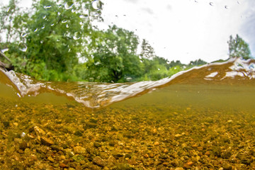 Underwater freshwater landscape