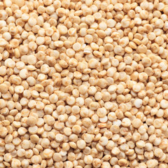 White quinoa background