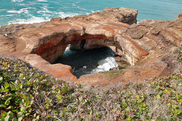 Nature made punch bowl with entrances
