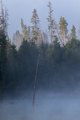 Boiling Lake