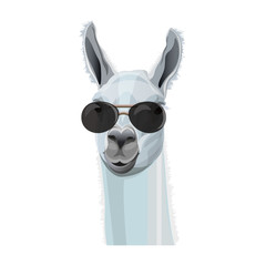 Portrait of llama in glasses © Hennadii