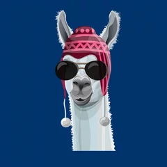Foto auf Alu-Dibond Portrait of llama in a hat © Hennadii