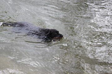Obraz premium Frühling-Spaziergang