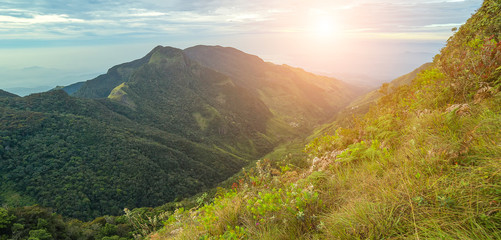 Panoramic Mountain Landscape view on sunrise cloud forest Worlds End in Horton Plains National Park Sri Lanka.