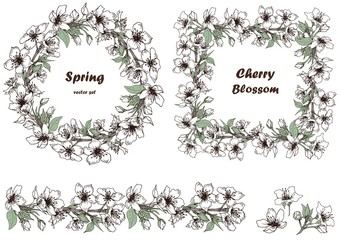 Set of spring cherry blossom wreaths. Hand drawn vector. Isolated elements for design.