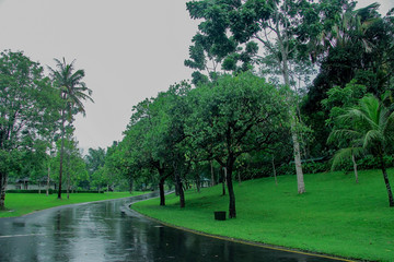 scenic view a road after rain