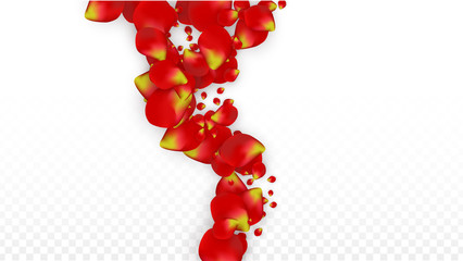 Vector Realistic Red Rose Petals Falling on Transparent Background.  Romantic Flowers Illustration. Flying Petals. Sakura Spa Design. Blossom Confetti. Design Elements for Wedding Decoration.