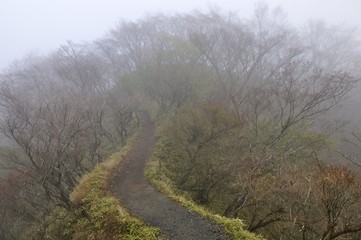 山霧の丹沢山地 大倉尾根