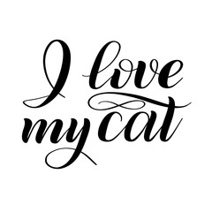 I love my cat. Script lettering. Isolated black print. Handwritten vector illustration. Calligraphic style.