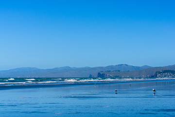 empty vast beach covered with water, seascape with coast line and mountains on the horizon, seagull sitting on a beach
