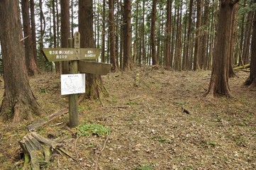 栗ノ木洞山頂