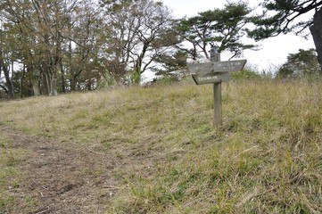 晩秋の櫟山山頂