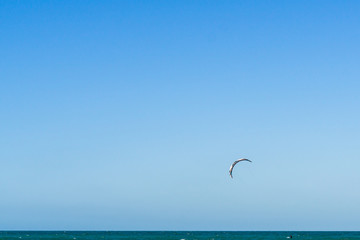 lone surfer, kitesurfing on a calm sea
