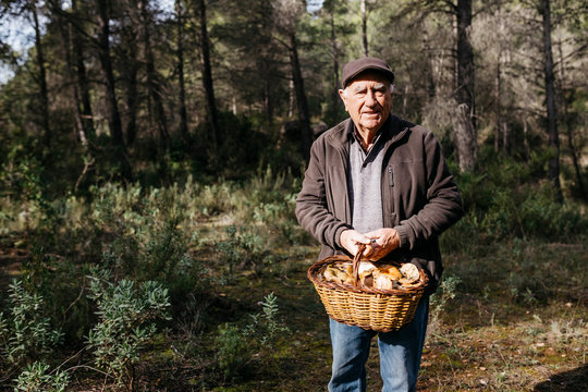 Portrait of senior man holding basket of mushrooms in forest