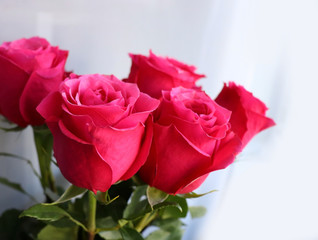 Fototapeta premium Red roses on the white background, bouquet 