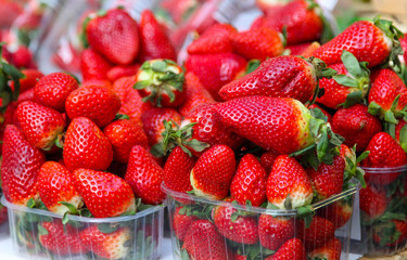 Garden strawberry in a plastic boxes as a background