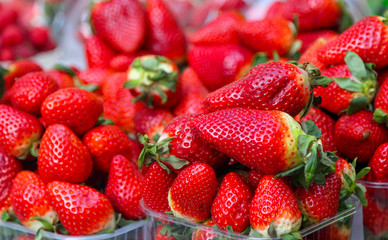 Garden strawberry in a plastic boxes as a background