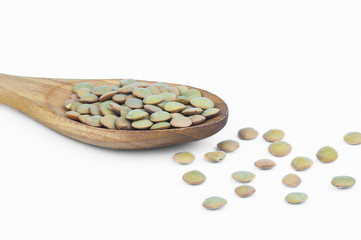 green lentils in wooden spoon isolated on white background. Uncooked lentil legumes, herbaceous plant (Lens culinaris)