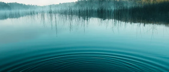 Poster ripple in water © Grant Bullert
