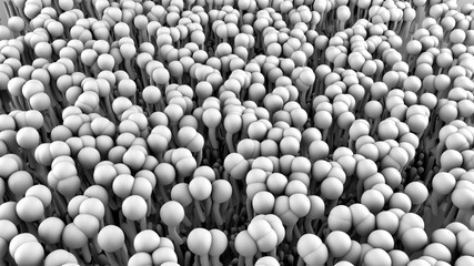 Cell Membrane structure in motion