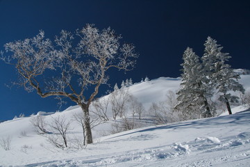 青と白の世界　透明感 空気感のある雪山の風景