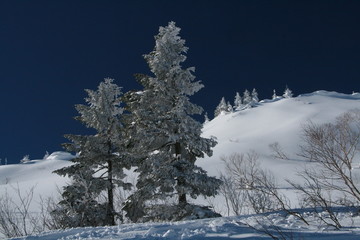 青と白の世界　透明感 空気感のある雪山の風景