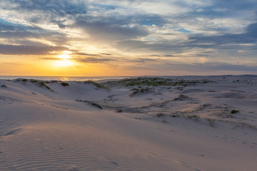 Beautiful sand dunes near the ocean at sunset. Anna Bay, New South Wales, Australia