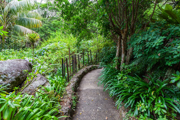 Footpath in garden in rainforest. O'Reily's retreat, Lamington National Park, Queensland, Australia