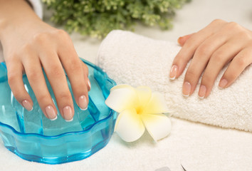 Woman gets manicure procedure in a spa salon. Beautiful female hands.