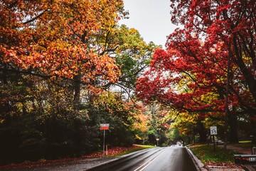 Autumn in Pure Michigan