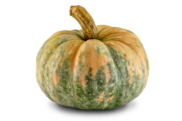 Yellow-green pumpkin isolated on white background