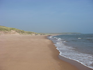 Sandy Beach and Sand Dunes Landscape III