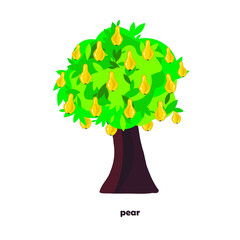 Fototapeta na wymiar Pear tree. Design element flat style object isolated stock vector illustration for web, for print