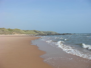 Sandy Beach and Sand Dunes Landscape II
