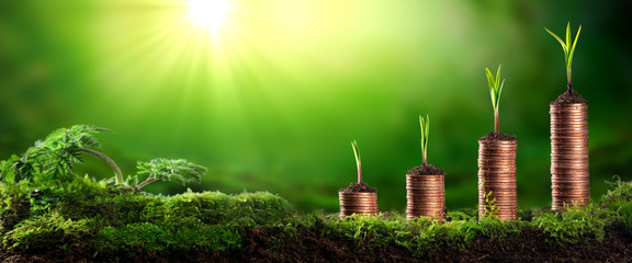  Young Plants Growing Out Of Stacks Of Coins In Lush Mossy Garden - Investing / Business Success...