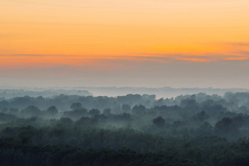 Mystical view from top on forest under haze at early morning. Mist among layers from tree silhouettes in taiga under warm predawn sky. Morning atmospheric minimalistic landscape of majestic nature.