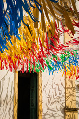 Fototapeta premium Brazilian festivity 