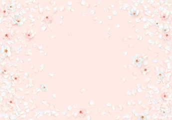 Floral background of sakura petals © lauritta