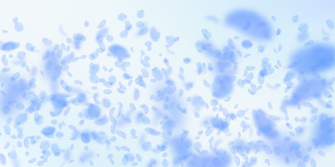 Dark blue flower petals falling down. Nice romanti