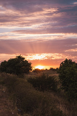 Sunset in northeast of Brazil