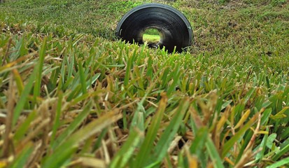Tunnel Through The Grass