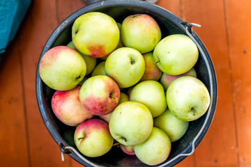 Flat top closeup of large bucket filled with fresh green red garden orchard apples fruit after harvest on wooden floor