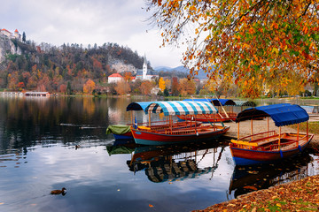 Beautiful landscape of Bled Lake and Pletna boats