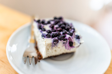 Macro closeup of purple blue blueberry cheesecake bar dessert raw vegan dessert on white plate with berry fruit flavor
