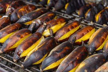 Grill, roasted, or barbecue banana with  peel.  Grill bananas sell on street in Thailand, healthy snack.