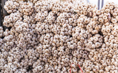 Pile of Strings of Garlic Bulbs in Food Market Stalls. Garlic Bulb made up of cloves with pungent taste and strong odor are used for food flavoring and traditional medicine. Seasoning, Cooking Concept