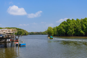 Outdoor sunny scenery of sea, brackish water, mangrove forest and small local village in Chanthaburi, Thailand.