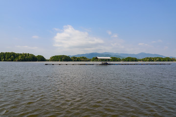 Aquaculture on brackish water at mangrove forest in Chanthaburi, Thailand. Wooden houseboat and oyster, mussel or shell fish farm are built with recycling bottles and background of mangrove forest.